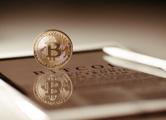 Uncover the Latest News on Bitcoin Bloodbath, Bitcoin Could Drop in 2023, and Brazilian Companies Break Crypto Purchasing Records