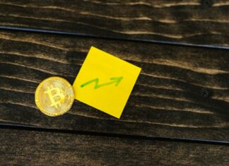 Uncover the Latest News on Shiba Inu and Bitcoin, Metaverse Token, and Bitcoin Big Investors