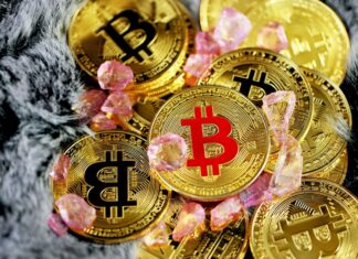 Uncover the Latest News on U.S. Financial Turmoil Boosts Cryptocurrencies, Lost of Crypto Trading, and Cryptocurrency Scam