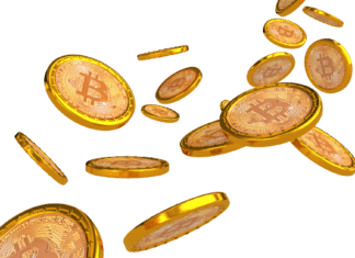 Corporate Bitcoin Holdings Reveal Treasury Future