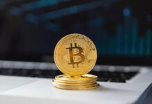 Prediction Markets Just Split Into Two Camps