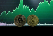 The Hidden Mechanism Behind Bitcoin’s Crash