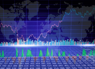 Whale Accumulation Signals a Market Preparing for Movement
